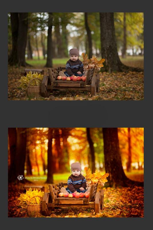 Видеоурок для самостоятельного обучения - Блицена_0.jpg